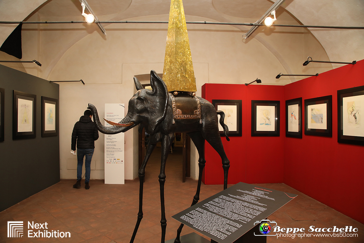 VBS_7780 - Salvador Dalì - The Exhibition.jpg